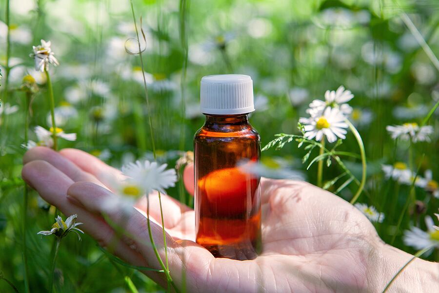 Florais para estresse: seis tipos para cuidar da sua saúde