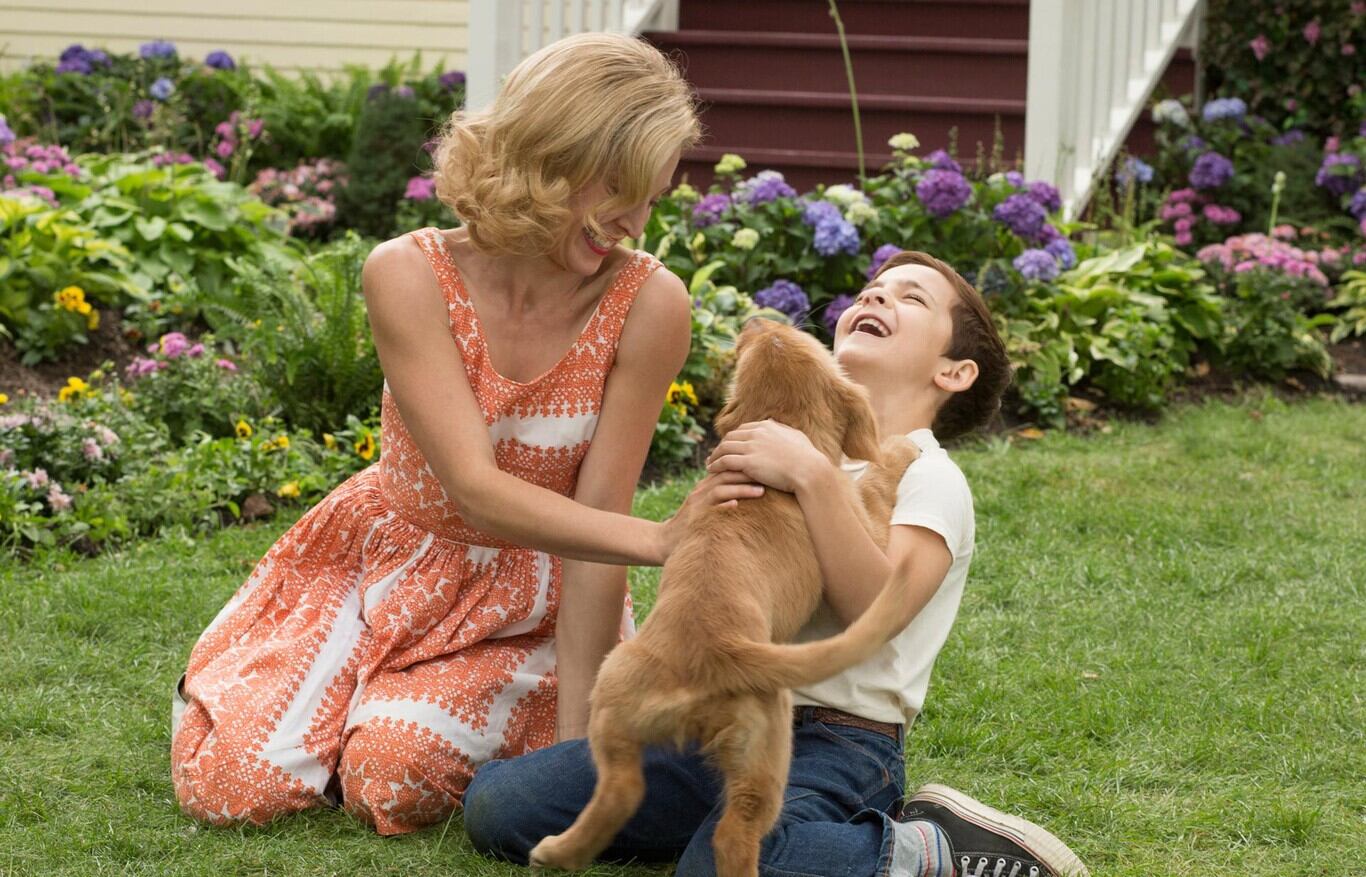 La película que emociona a todos en Netflix
