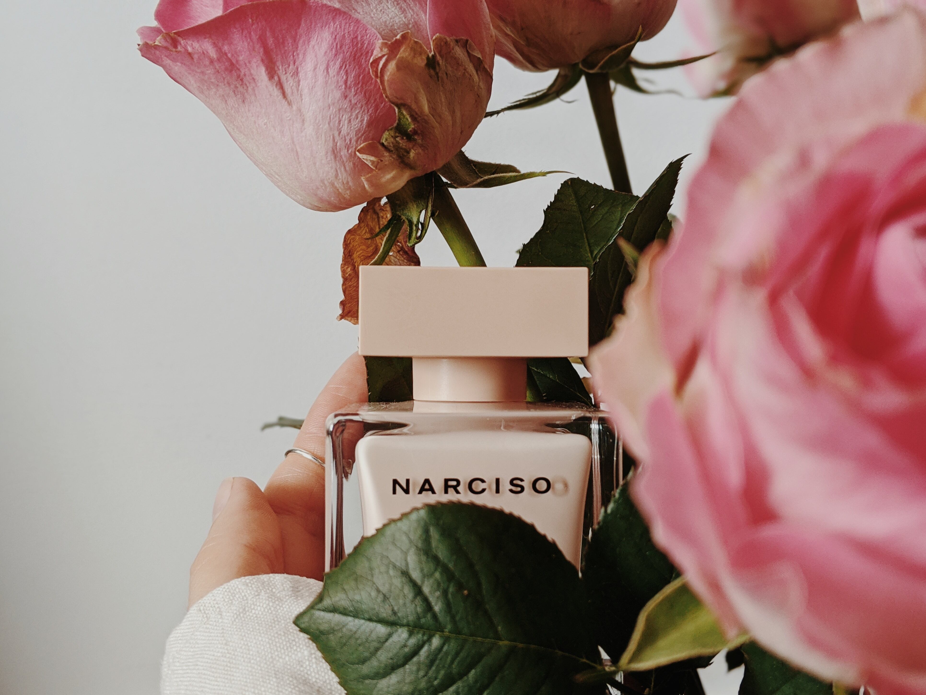 Imagem: Pexels/Valeriia Miller